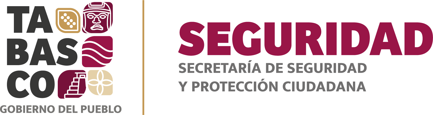 Logo-Seguridad-Publica